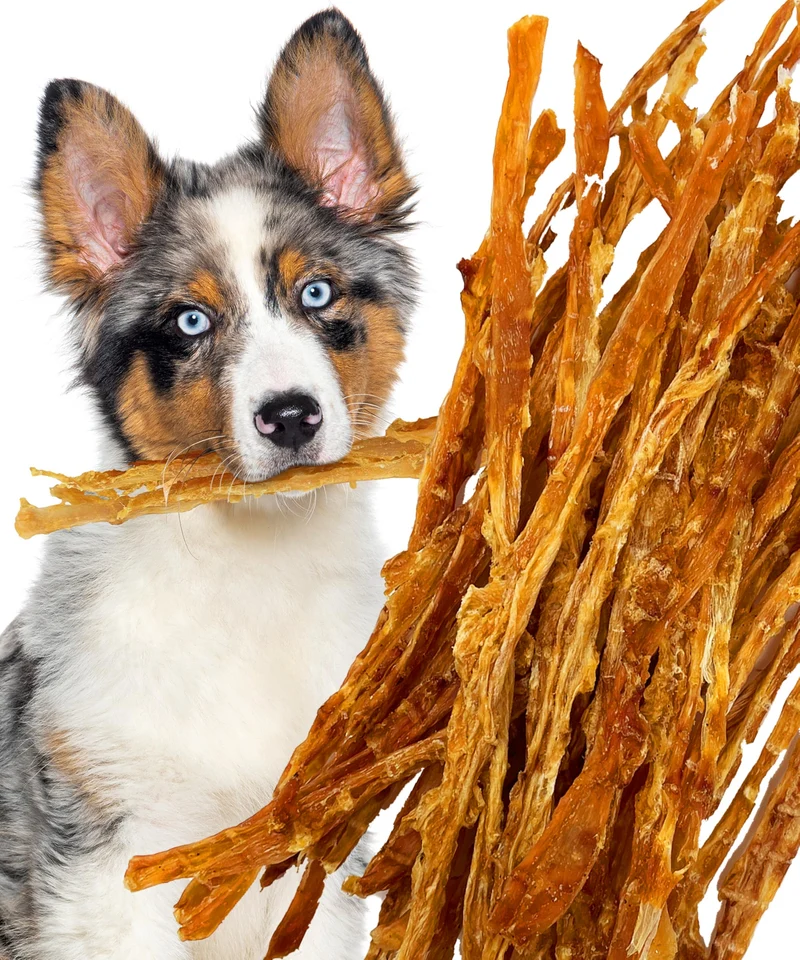 Lively Tails Tendons de Dinde pour Chiens – 6 oz, Naturels et Fabriqués aux États‑Unis