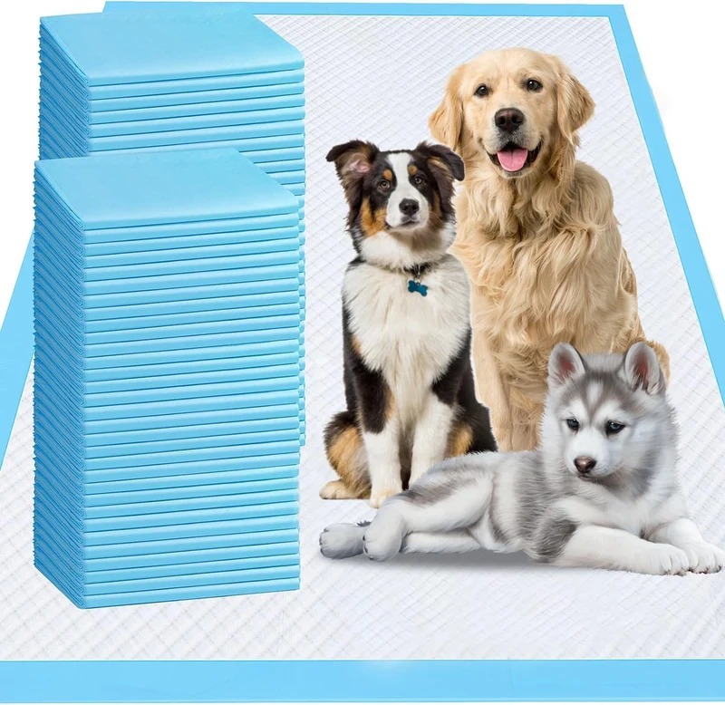 RUMAGI Tapis-pipi Très Grand Format 31x36 cm – 60 Pièces, Absorption Élevée et Protection Anti-Fuites