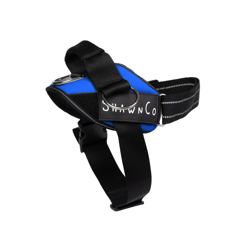 Harnais anti-pull ShawnCo Essential Pro pour chien – Bleu électrique, Taille M, 3 points d’attache, patchs réfléchissants