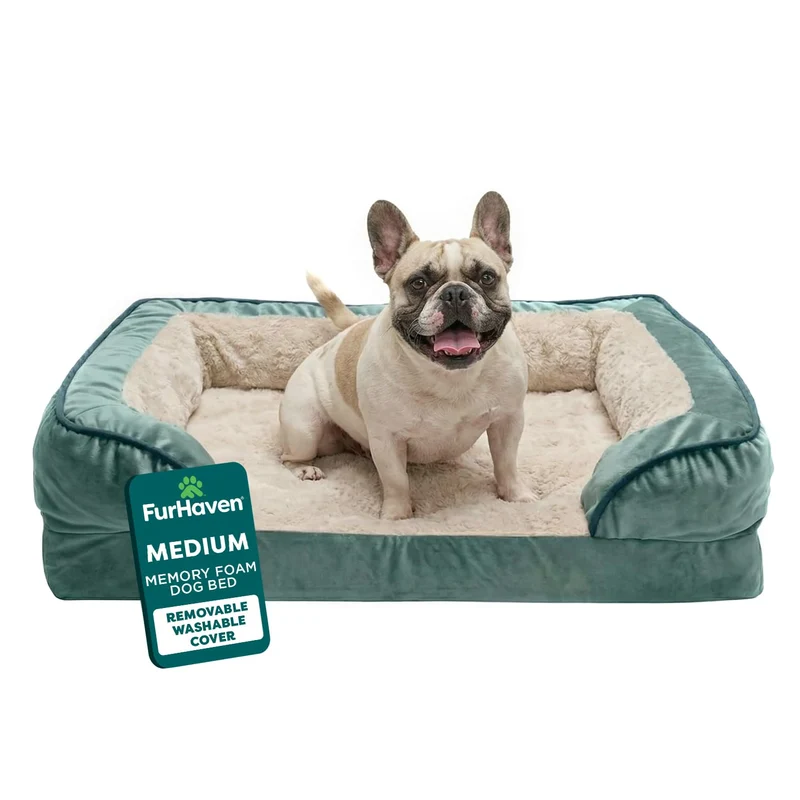 Furhaven lit orthopédique pour chiens moyens et petits – mousse mémoire, housse lavable, vert céladon (taille moyenne)
