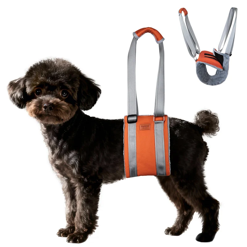 ExploreU Harnais de levage pour chien — Soutien des pattes arrière et mobilité