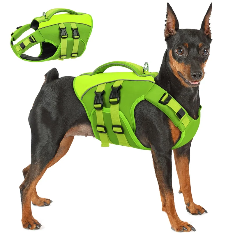 Queenmore Gilet de Sauvetage pour Chien Vert 2XL – Gilet de Natation Réfléchissant, Ajustable et Confortable