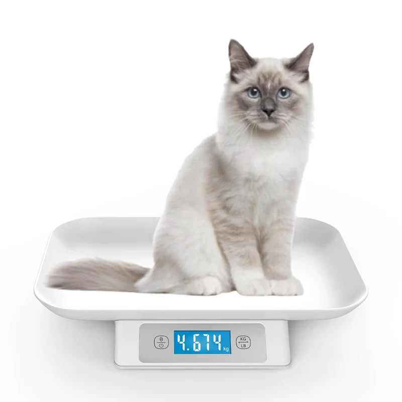 Balance numérique MINDPET-MED pour animaux petits et chatons – Pesée 0,1 oz à 33 lb, précision 1 g