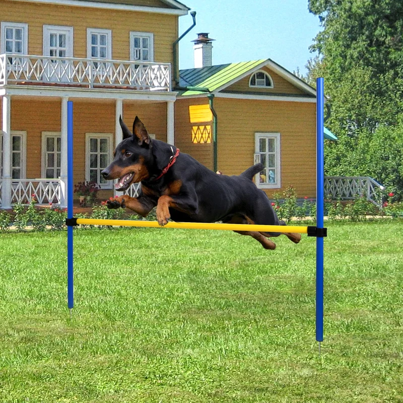 Pet Prime Saut d’Agilité pour Chien – Hauteur Réglable et Portable