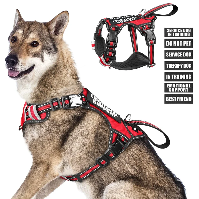 WINSEE Harnais Chien Service Anti-Traction – 7 Patchs, Réfléissant et Rembourré