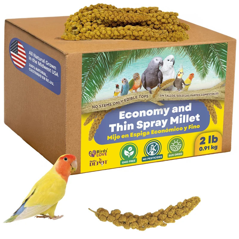 Birds LOVE Millet 2 lb – Économique, Sans Tiges, Séché au Soleil, Sans OGM