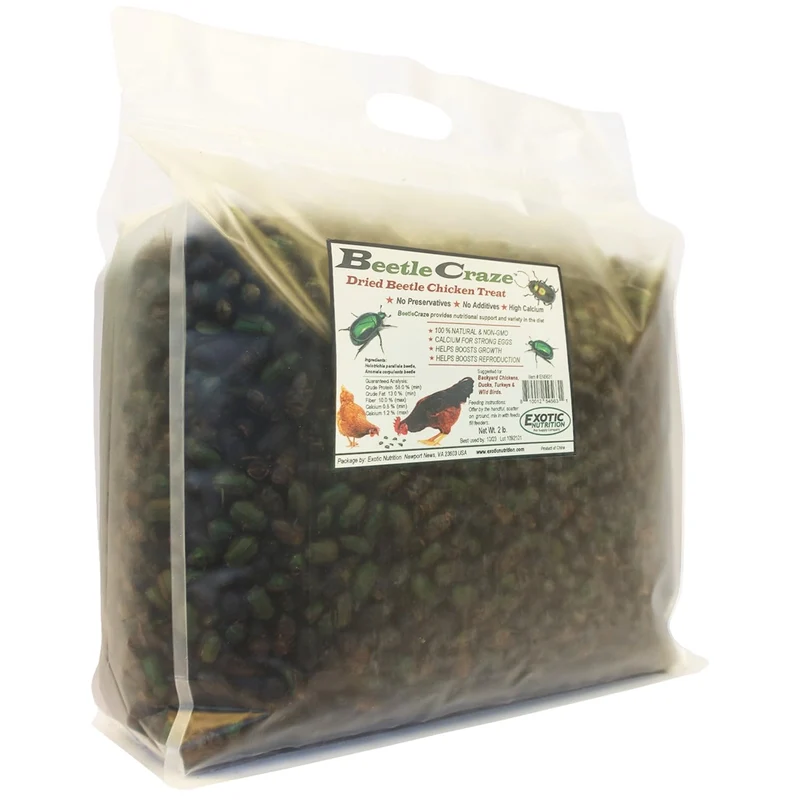 Exotic Nutrition Beetle Craze 2 lb – Aliment pour poules et insectivores | Insectes séchés riches en protéines