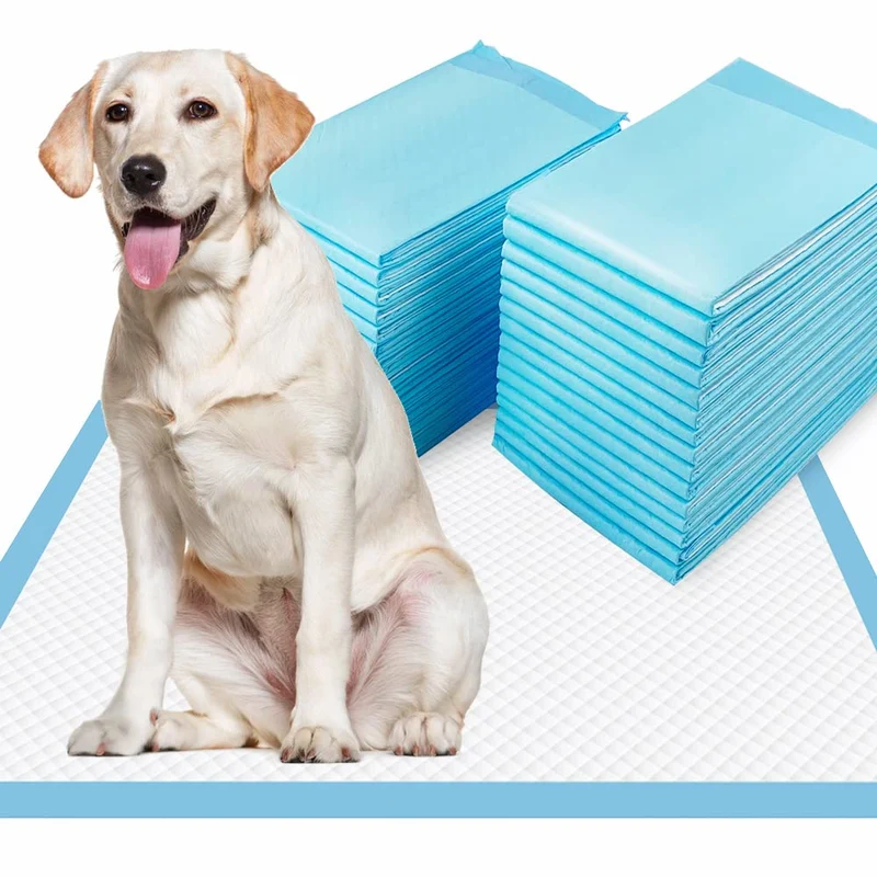 Dogcator XL Tapis-Pipi 40 Unités – XXL 28x34 pouces, Absorbants et Étanches