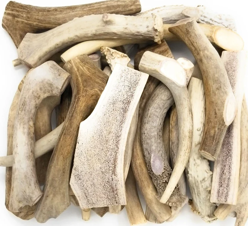 Big Dog Antler Chews – Pack d’1 Livre d’Os de Cerf et d’Élan Naturels et Durables