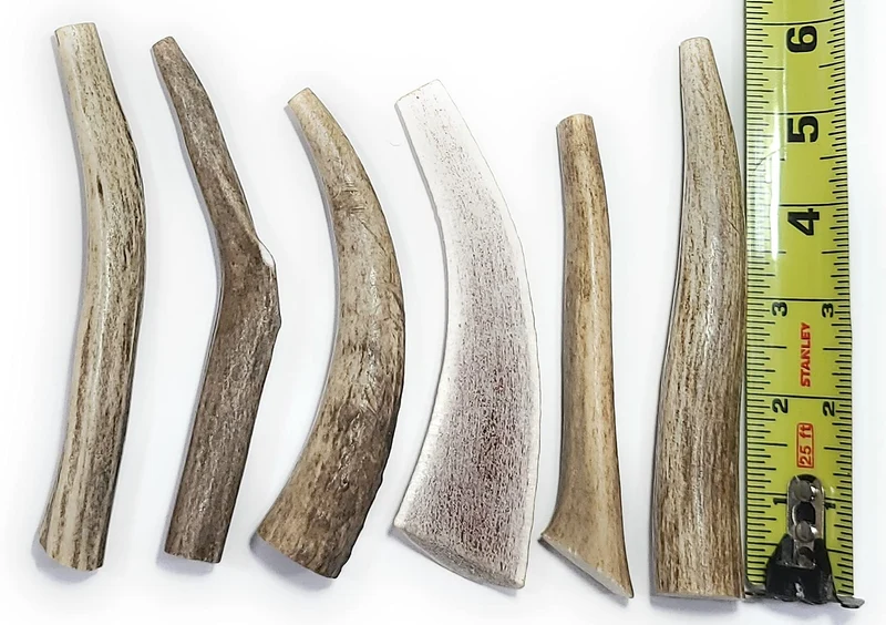 Big Dog Antler Chews - Lot de 6 pour Petits Chiens (0-20 lb) | Antlers Naturels et Organiques de Cerf et Élan