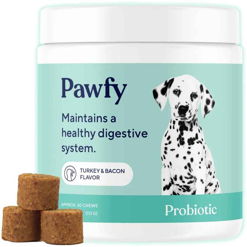 Pawfy Probiotiques pour Chiens | Soutien Digestif et Peau | Gommes Saveur Bacon – 30 bouchées