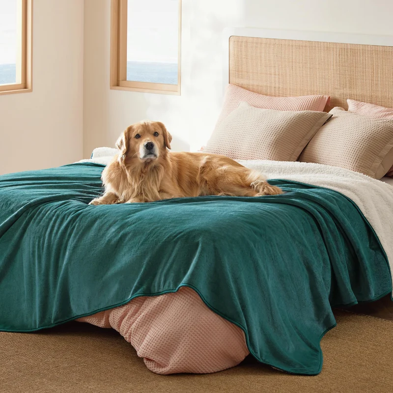 Bedsure Couverture Imperméable pour Lit — Sherpa Doux, Pour Grands Chiens, 90x86, Vert