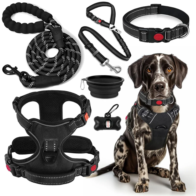 Lobeve Harnais Sans Tirage pour Chiens – Ensemble Laisse, Collier et Accessoires | Promenade, Entraînement et Randonnée