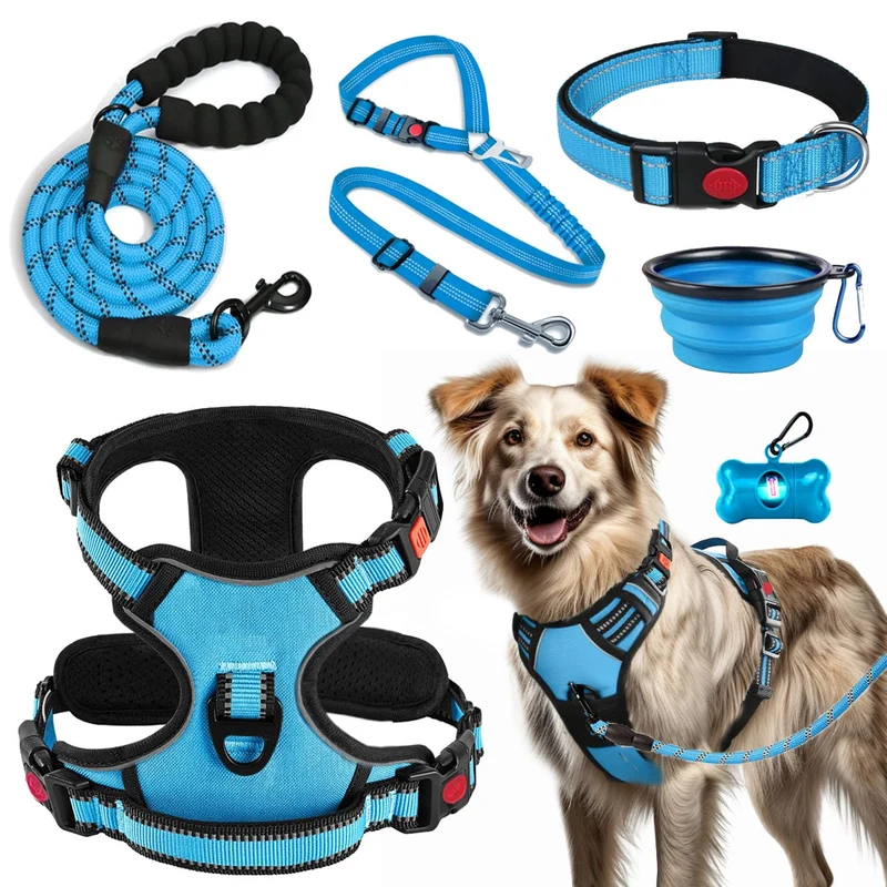 LOBEVE Harnais Sans Traction pour Chien – Laisse, Collier, Ceinture Auto, Bols Pliables (Bleu)