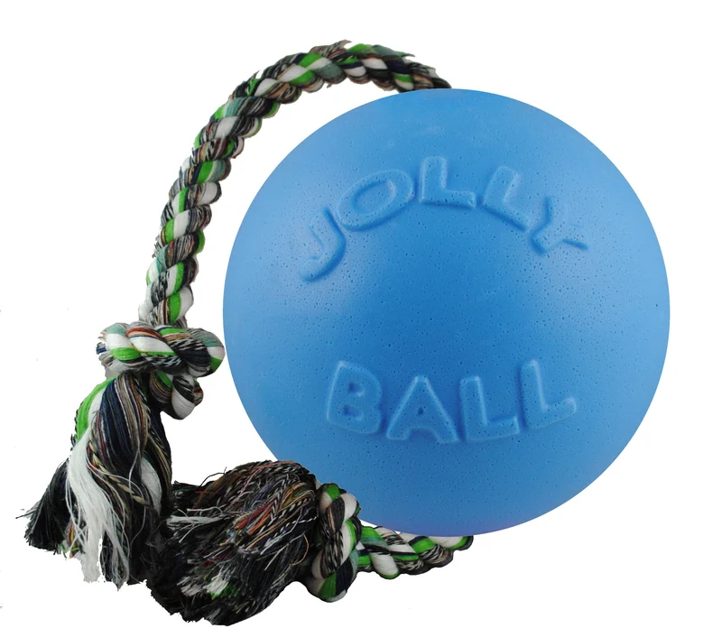 Jolly Pets Romp-n-Roll – Balle et Corde 8 pouces, Bleu Myrtille, Grand | Jouet Chien