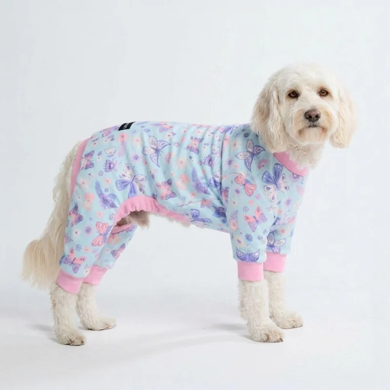 Pyjama pour chien Spark Paws – Combinaison récupération 4-voies, Rêves de papillon, 2XL