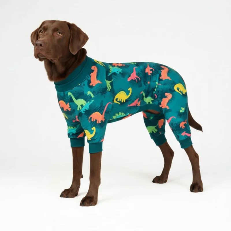 Spark Paws Pyjama pour chien Dinosaure – Combinaison récupération ultra-douce, tissu élastique multi-directionnel, 3XL