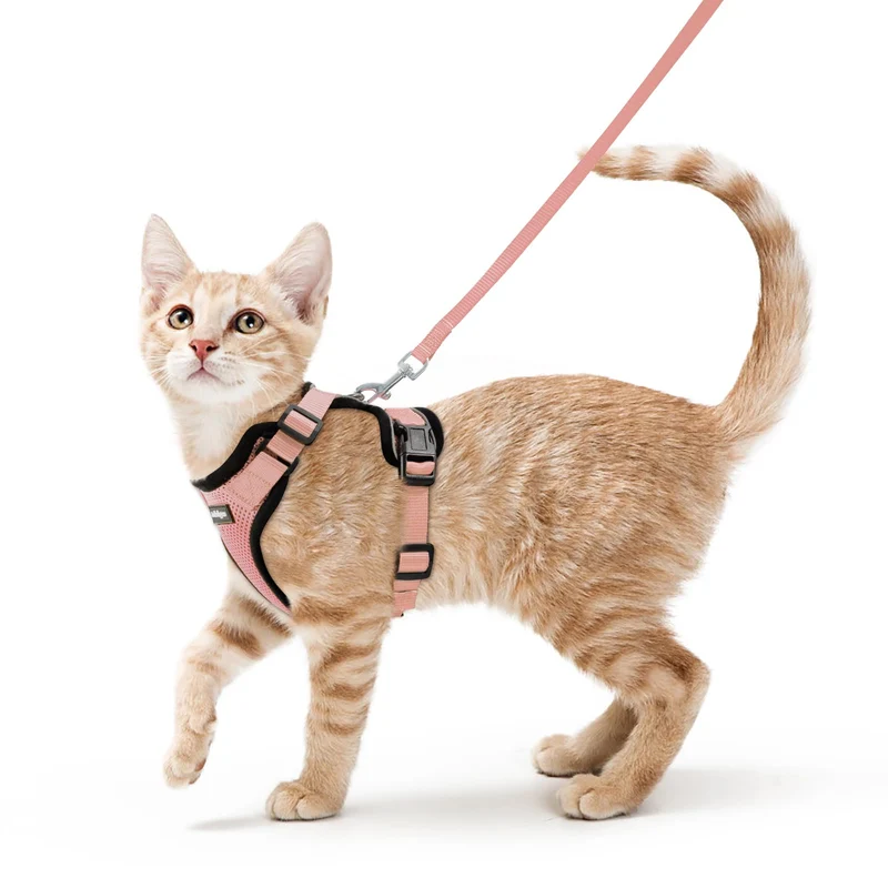 Rabbitgoo Harnais et Laisse pour Chat – Anti-Fuite, Confort Respirant, Ajustable, Bandes Réfléchissantes, Rose Saumon (S)