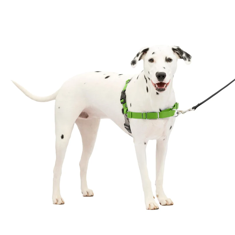 Harnais PetSafe Easy Walk pour chiens – Marche sans tirage, attache poitrine frontale – Tailles Moyenne/Grande, Vert pomme Gris