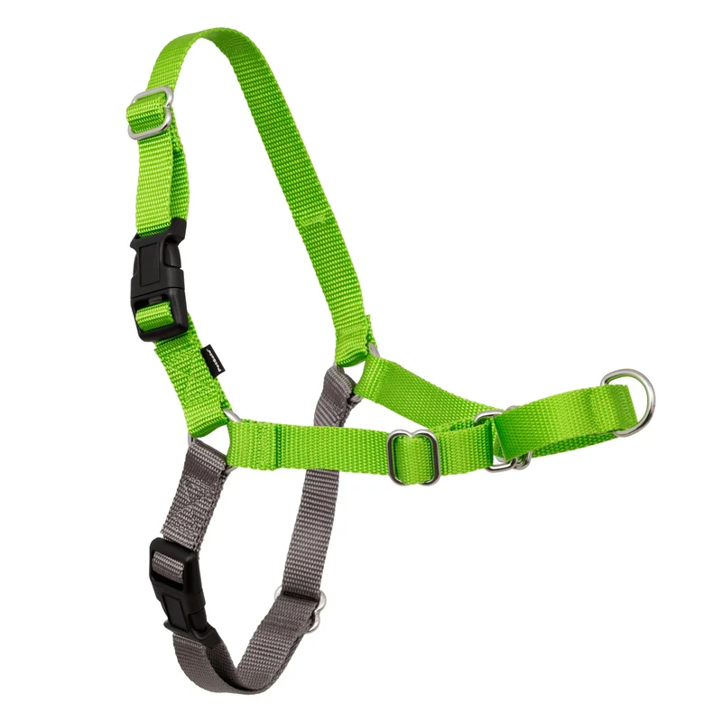 PetSafe Easy Walk Harnais pour Chiens – Pas de Tirage, Attache Devant et Martingale – Confort Léger S/M – Vert Pomme/ Gris