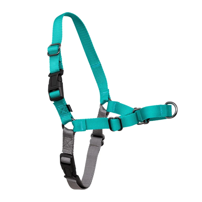 PetSafe Easy Walk Harnais pour Chiens — Pas de Tirage, Attache Avant et Confort Léger (Teal/Gris)