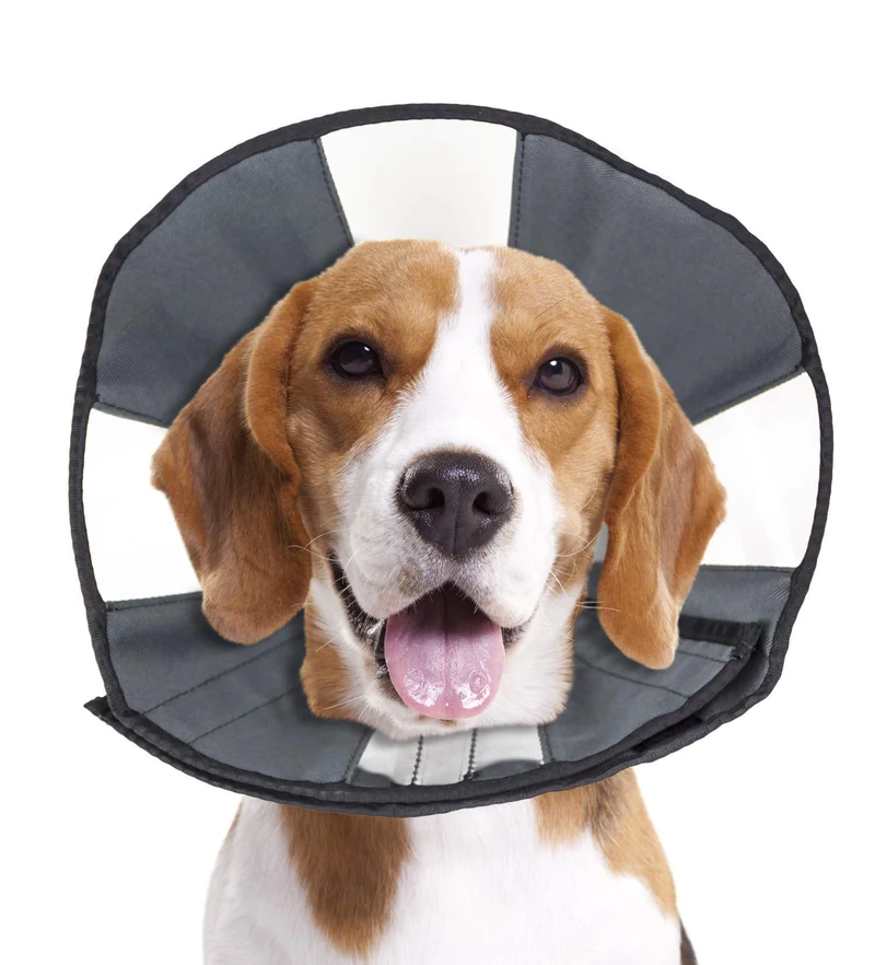 ZenPet E-collar de récupération pour chiens et chats – Collier souple ajustable (Moyen)