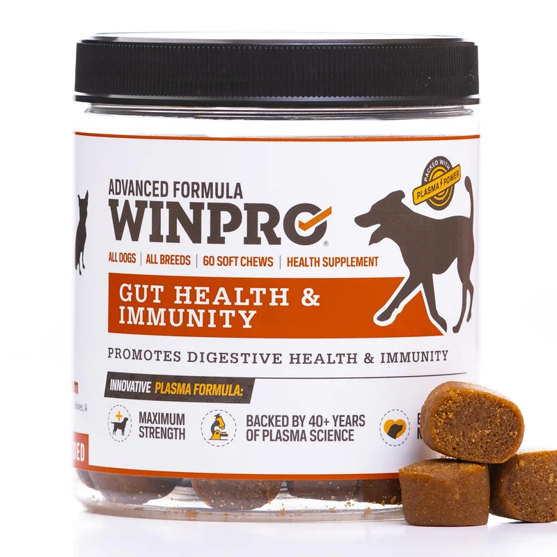 WINPRO Chien – Santé digestive et immunité, bouchées molles savoureuses, 60 unités