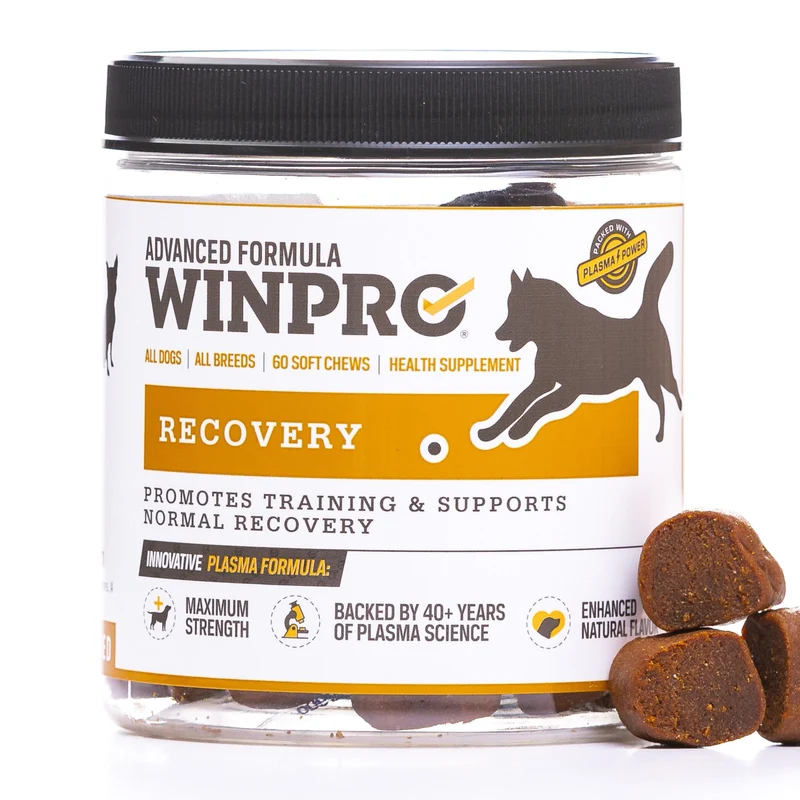 WINPRO Recovery Soft Chews pour Chiens — Soutien à la Réaction Inflammatoire et Entraînement pour Compétition, Sport et Agilité — 60 Gommes