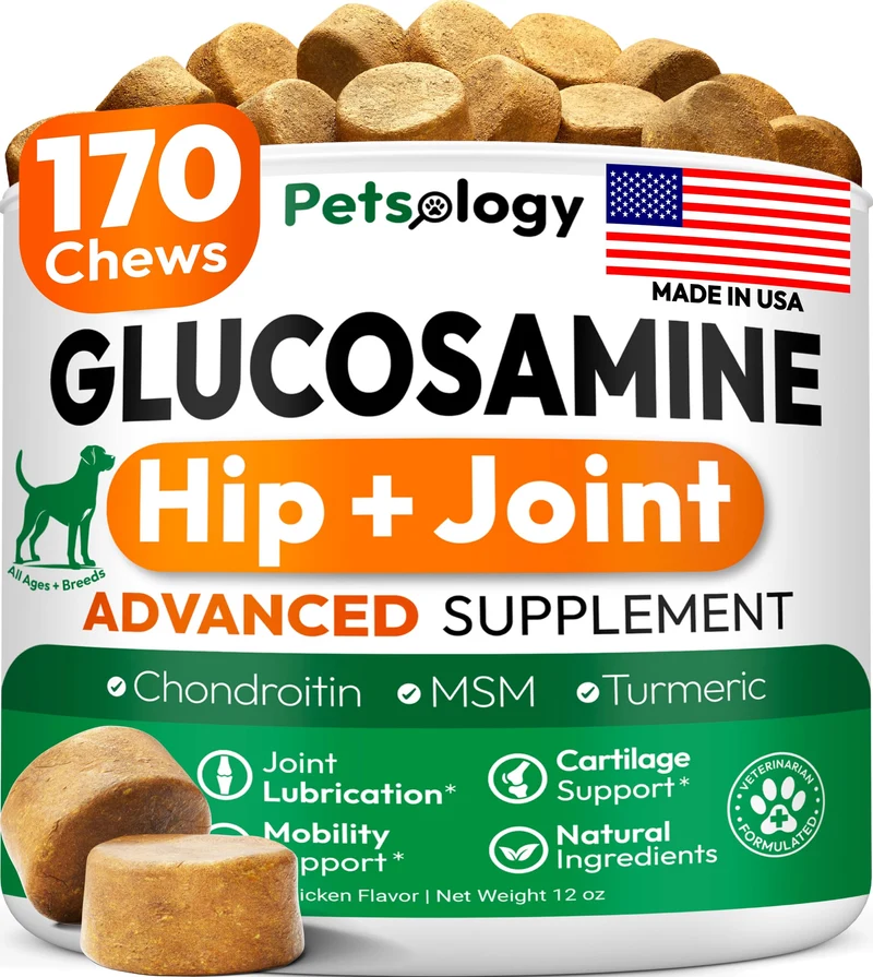 Petsology Glucosamine pour chiens – suppléments hanches et articulations – 170 friandises mobilité – Glucosamine, Chondroïtine, MSM, Curcuma – Fabriqué aux États‑Unis