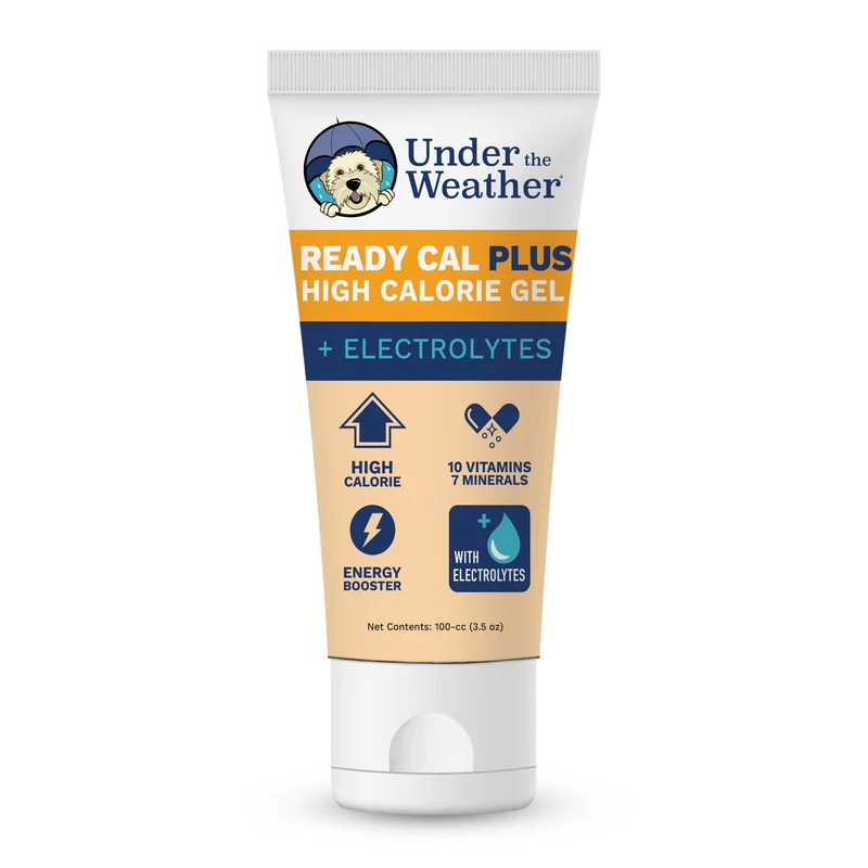 Under the Weather Gel Prêt-Calorie pour Chiens | Électrolytes et Calories Hautes | Tube 3,5 oz