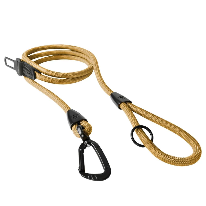 PAWS PASSION Laisse Corde 6 Pieds 2-en-1 Avec Boucle Ceinture et Pivot 360 Sunrise