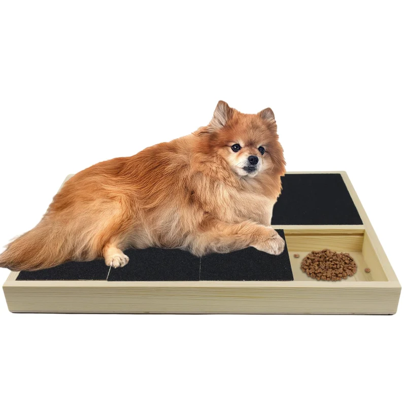 Jaxbo Planche Griffage Chien avec Boîte à Friandises – Bois Durable et Portable