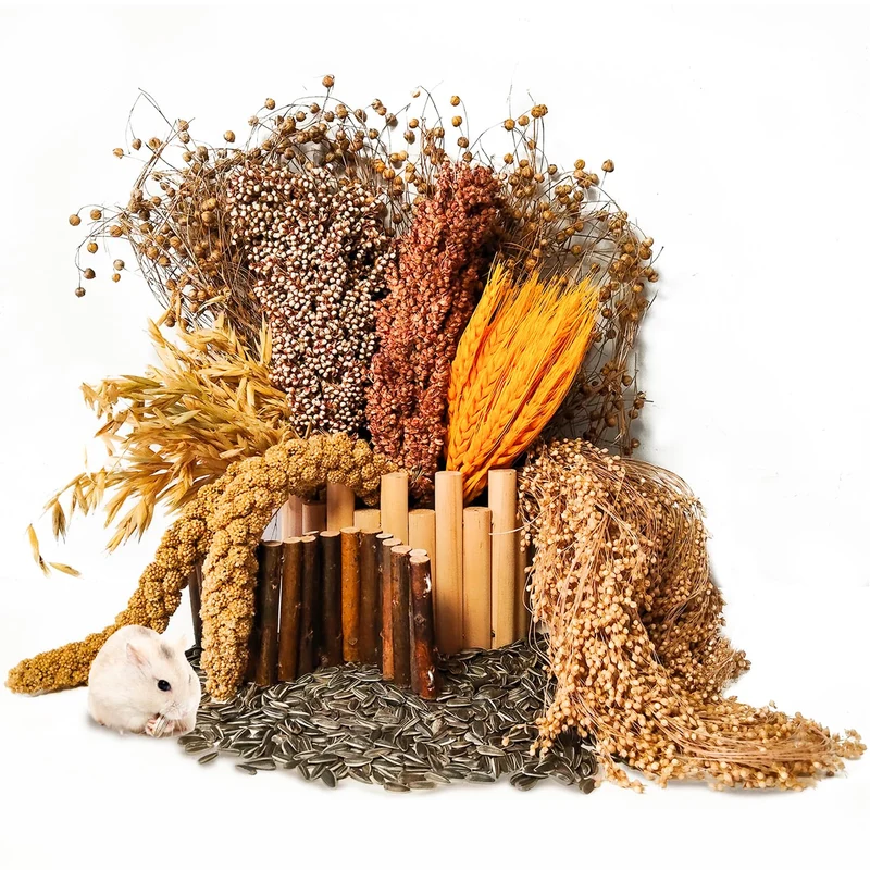 Acsist Habitat Naturel pour Hamsters – Fleurs et Herbes, Décoration de Cage