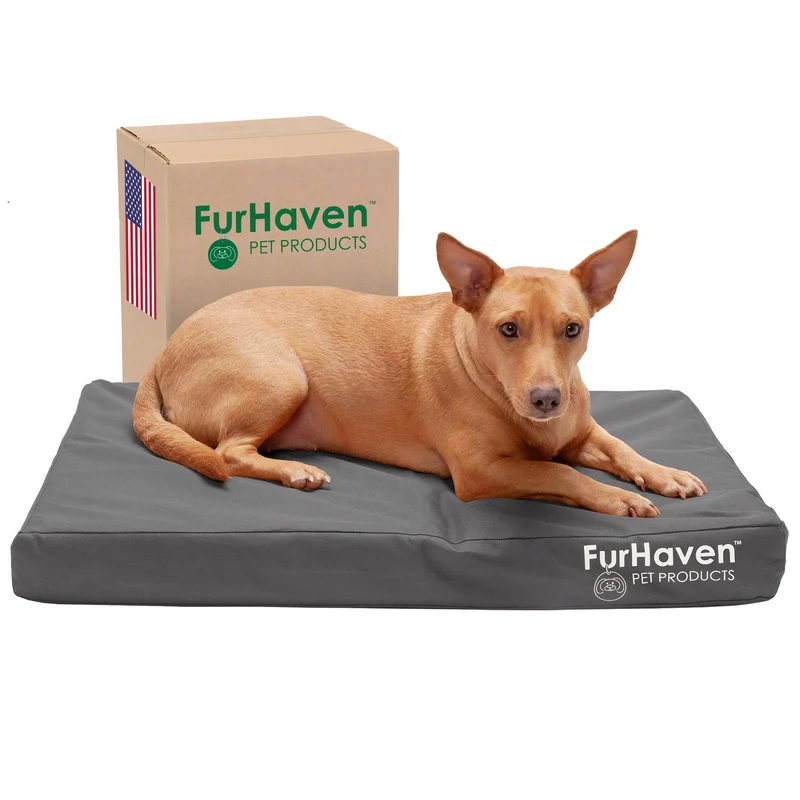 Furhaven Lit Orthopédique Imperméable pour Chiens (≤35 lb) – Gris Pierre, Medium