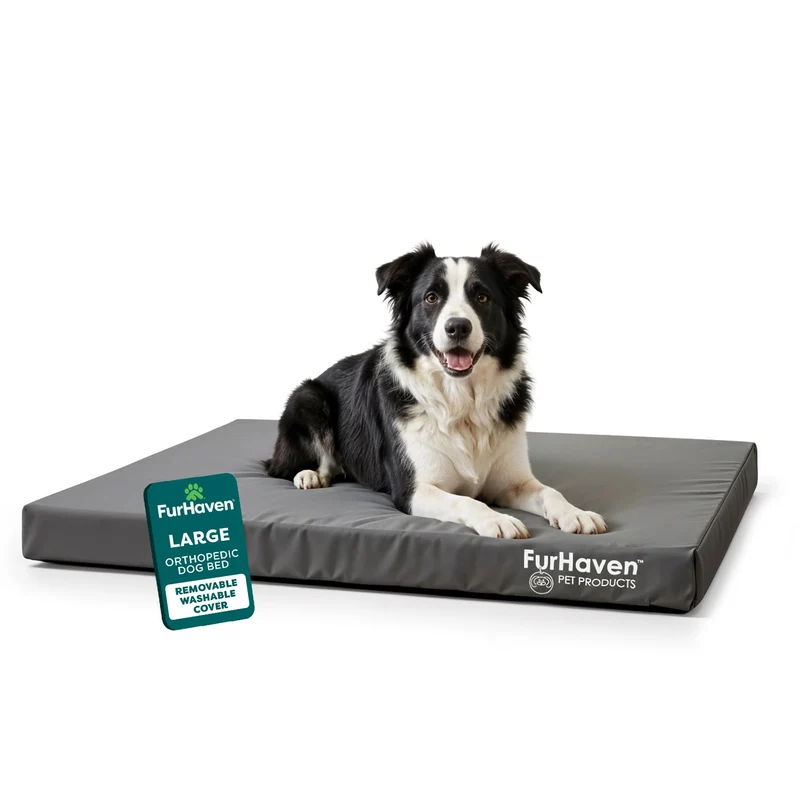 FurHaven Lit Chien Orthopédique Imperméable pour Grands Chiens – Mousse Egg Crate et Base Orthopédique, Housse Lavable, Grand, Gris Pierre