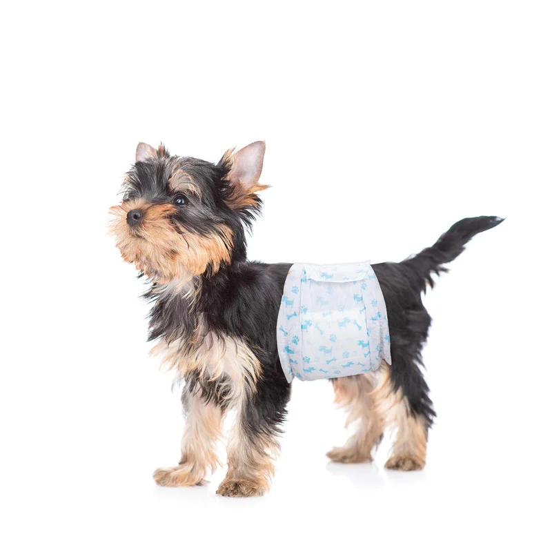Flying Paws Couches absorbantes pour chien mâle – Bandes absorbantes XS, 60 pièces