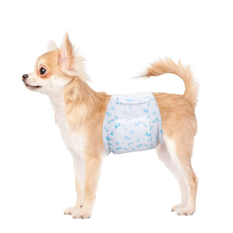 Flying Paws Couches Masculines pour Chien – Absorbantes, Protection Anti-Fuite, 44 Pièces, Taille Moyenne
