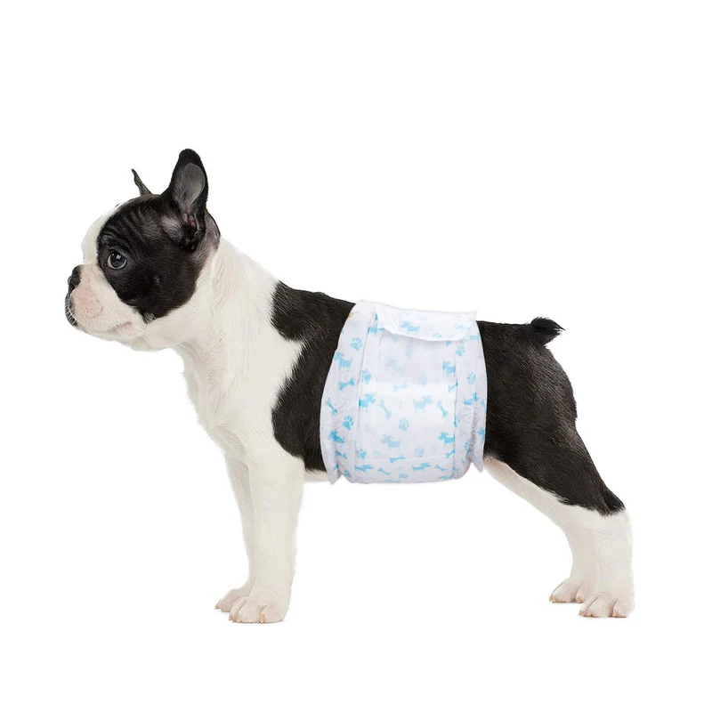 Flying Paws – Couches pour Chien Mâle Petite, 52 Pièces, Absorbantes et Protection Contre les Fuites