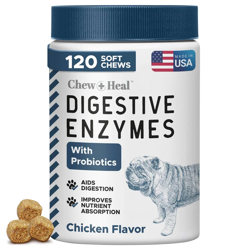 Probiotiques et enzymes digestives pour chiens – 120 bouchées molles – Digestion et absorption des nutriments – Chew + Heal Labs