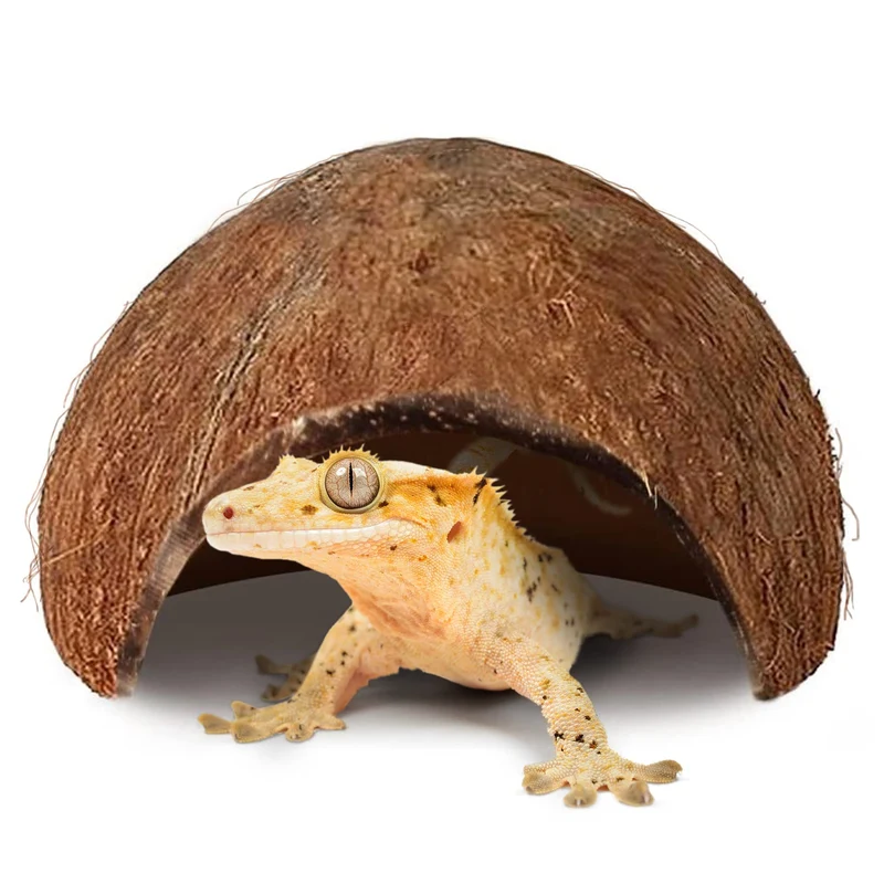 SunGrow Hutte Coco pour Gecko à Crête – Cachette naturelle 5x3 pouces