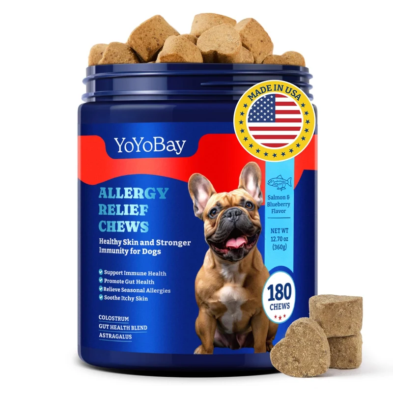 YoYoBay Friandises Allergie Chien – 180 Friandises Saveur Saumon et Myrtille – Soutien Immunitaire et Soulagement des Démangeaisons