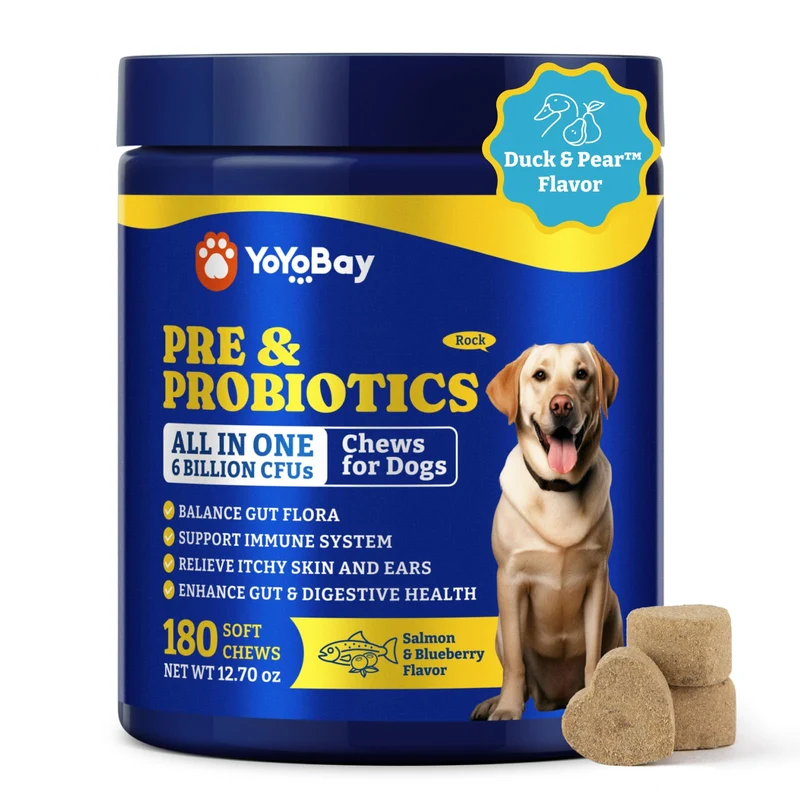 YoYoBay Probiotiques pour Chiens – Digestion, Immunité et Peau – 6 milliards CFU, 180 Gommes Saveur Saumon & Myrtille
