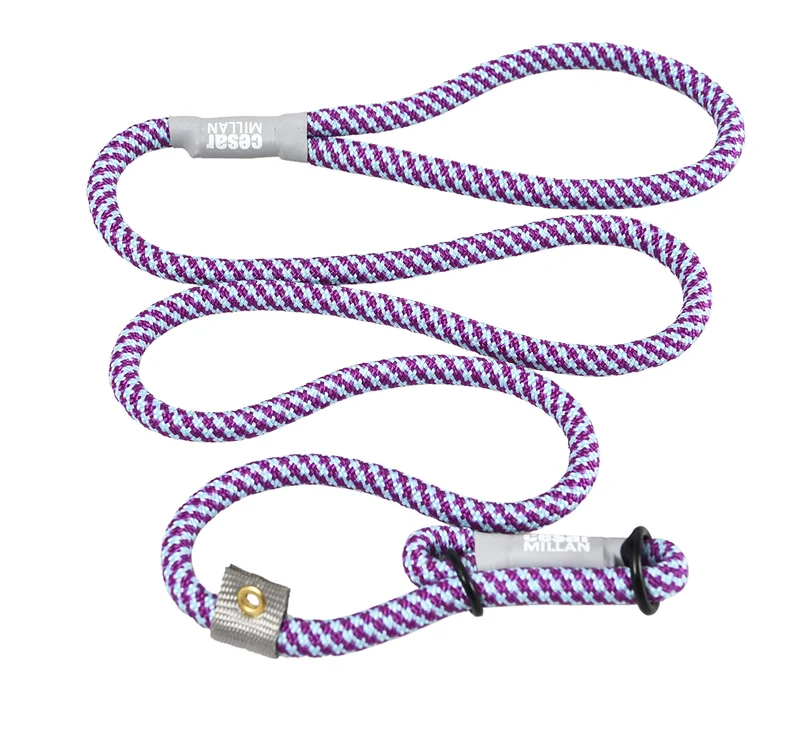 Cesar Millan Laisse Coulissante d'Entraînement – Laisse pour chien (Format régulier, Aqua et Violet)