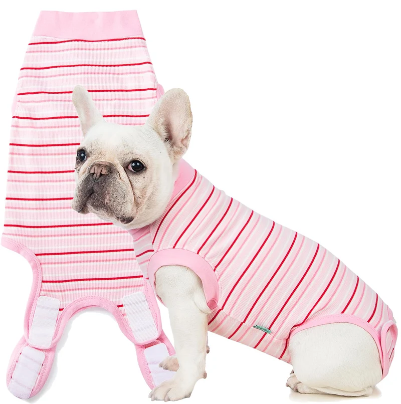 Sebidtco Combinaison de récupération pour chiens femelles – sans cône