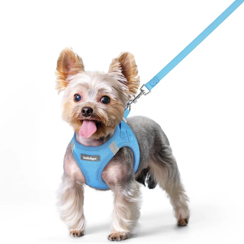 Rabbitgoo Harnais pour Chien XS Bleu avec Laisse – Enfiler Facile, Mesh Respirant