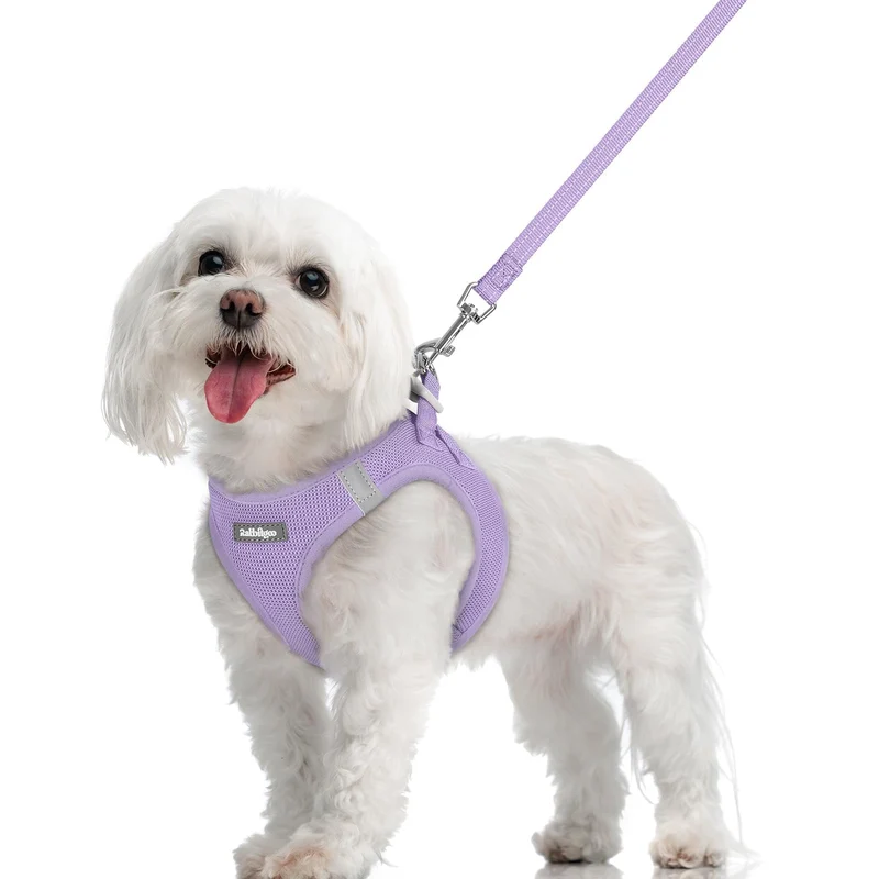 Rabbitgoo Harnais et Laisse pour Petit Chien — Enfiler Facile, Mesh Respirant, Réfléchissant, Violet Clair (Taille M)