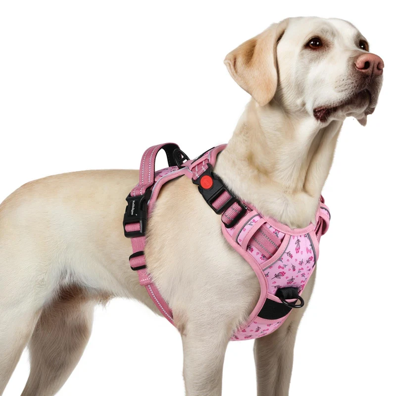rabbitgoo Harnais anti-traction pour chien grand – 3 boucles, poignée de contrôle, reflet, rose floral