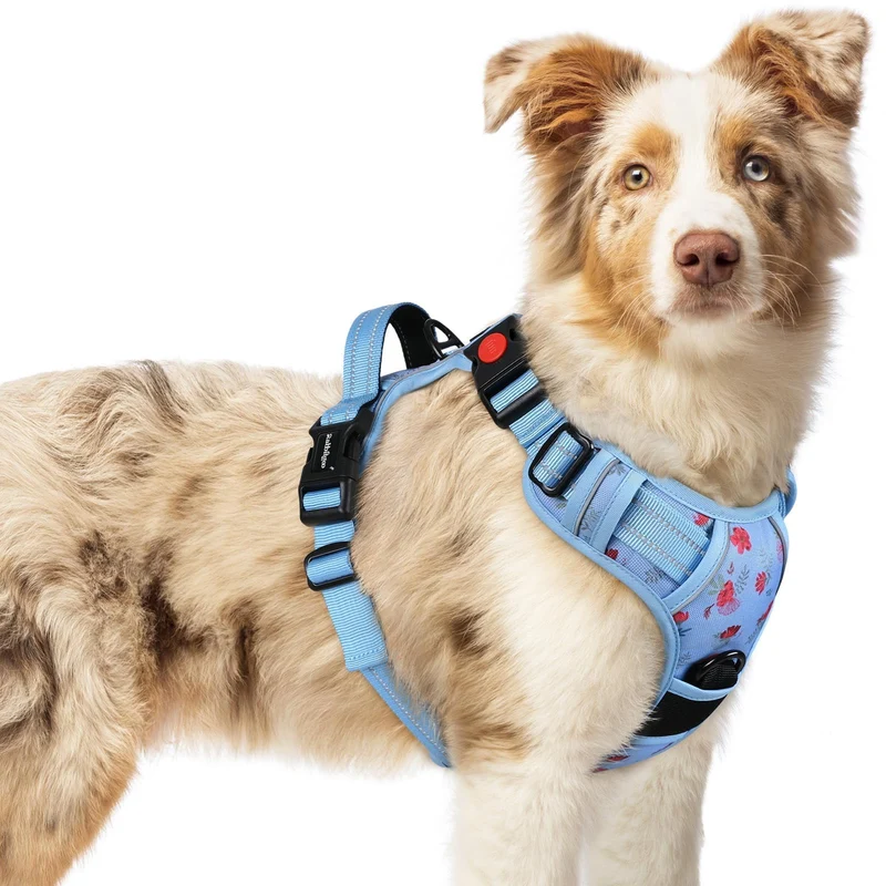 rabbitgoo Harnais Chien Moyen Sans Tirage - 3 Boucles, Rembourrage Doux, Poignée, Réfléchi Floral Bleu | M