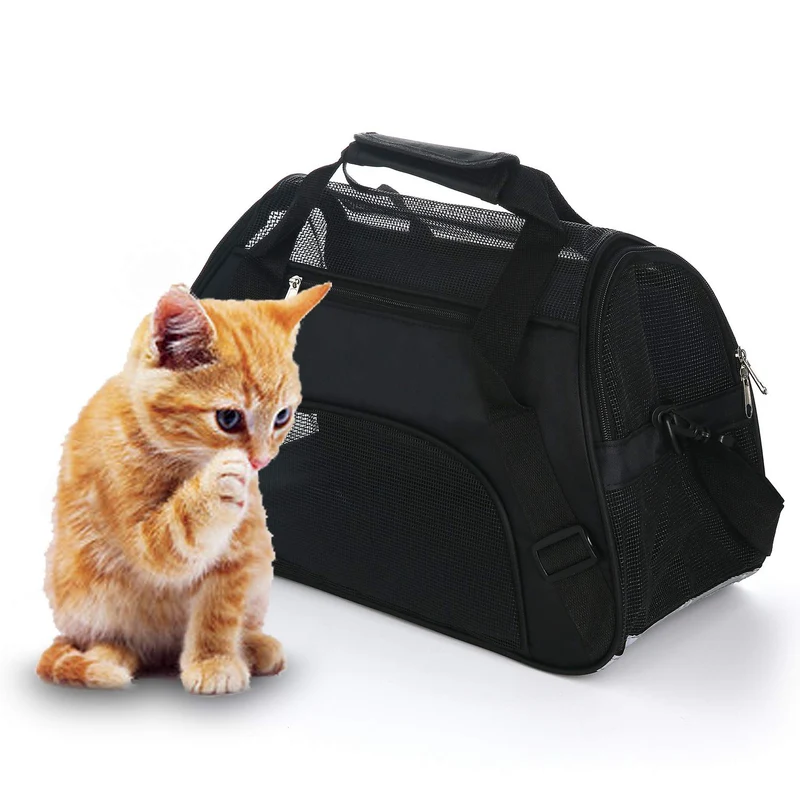MuchL Transporteur Souple — Moyen, Noir pour Chats et Chiens | Approuvé pour les voyages en avion
