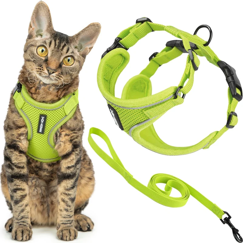Harnais Voyager anti-fuite et Laisse 5 pieds – Best Pet Supplies, Lime, XS